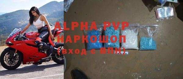 сатива Вяземский