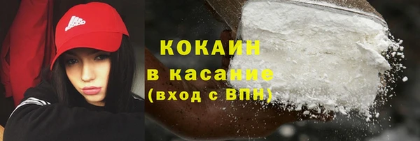 соль ск Ельня