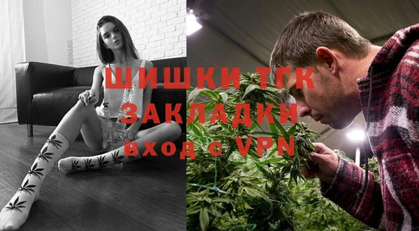 сатива Вяземский