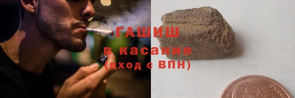 индика Ступино