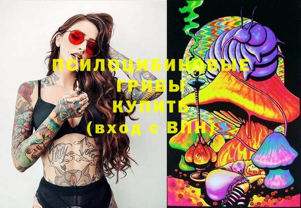 сатива Вяземский