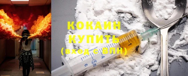 индика Ступино