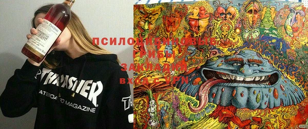 сатива Вяземский