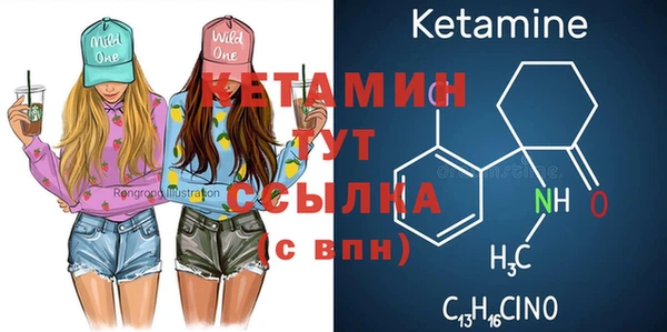 сатива Вяземский