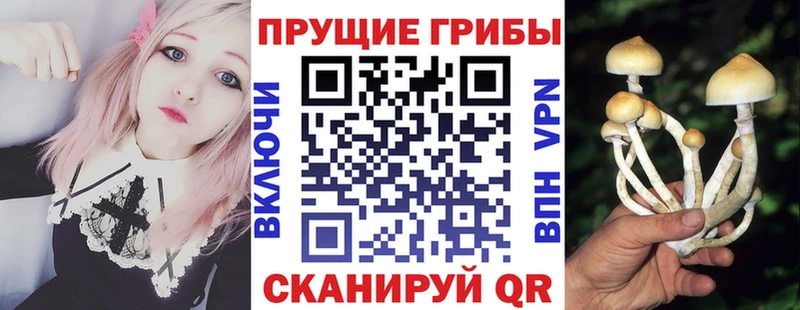 Галлюциногенные грибы Cubensis  Мариинск 